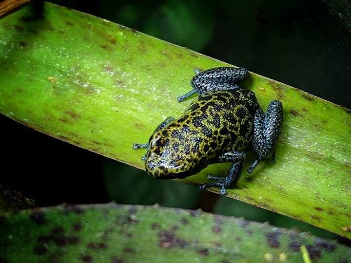 18052662_10208840064741889_1139089389_n