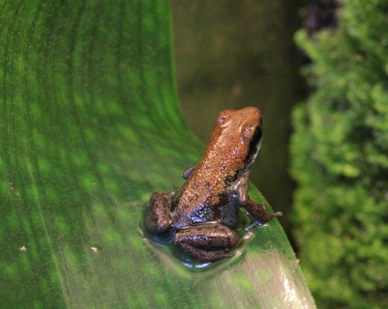 574719_419366051433675_1055354699_n