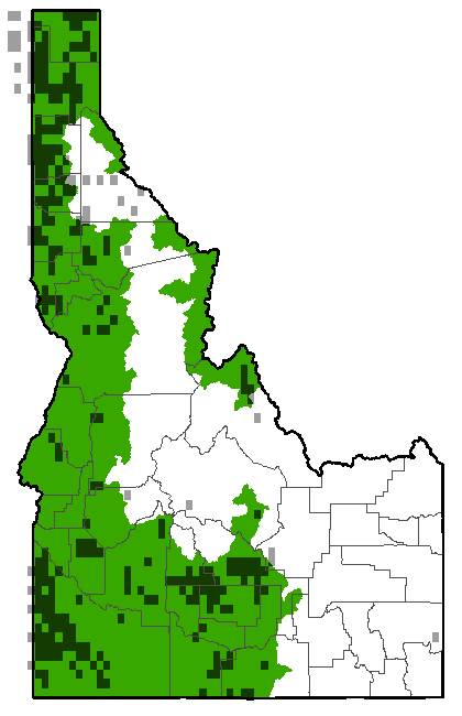 sierran tree frog ID range.png