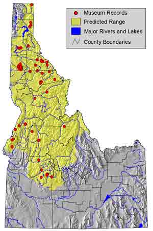 tailed frog ID range.jpg