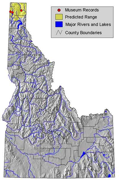 wood frog ID range.jpg
