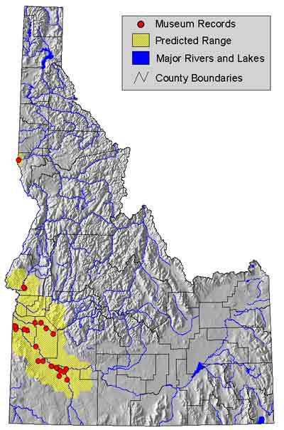 Woodhouses ID range.jpg
