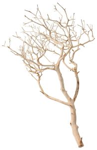 81RSmQVs9AL._SL1500_